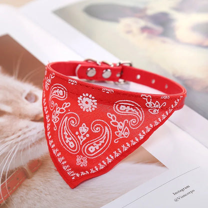Wag & Whisker Scarf Collar