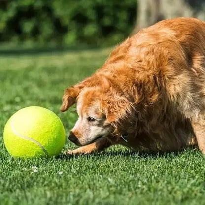 Fetchzilla Mega Tennis Ball