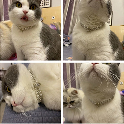 Pawsh Pearl Pet Necklace