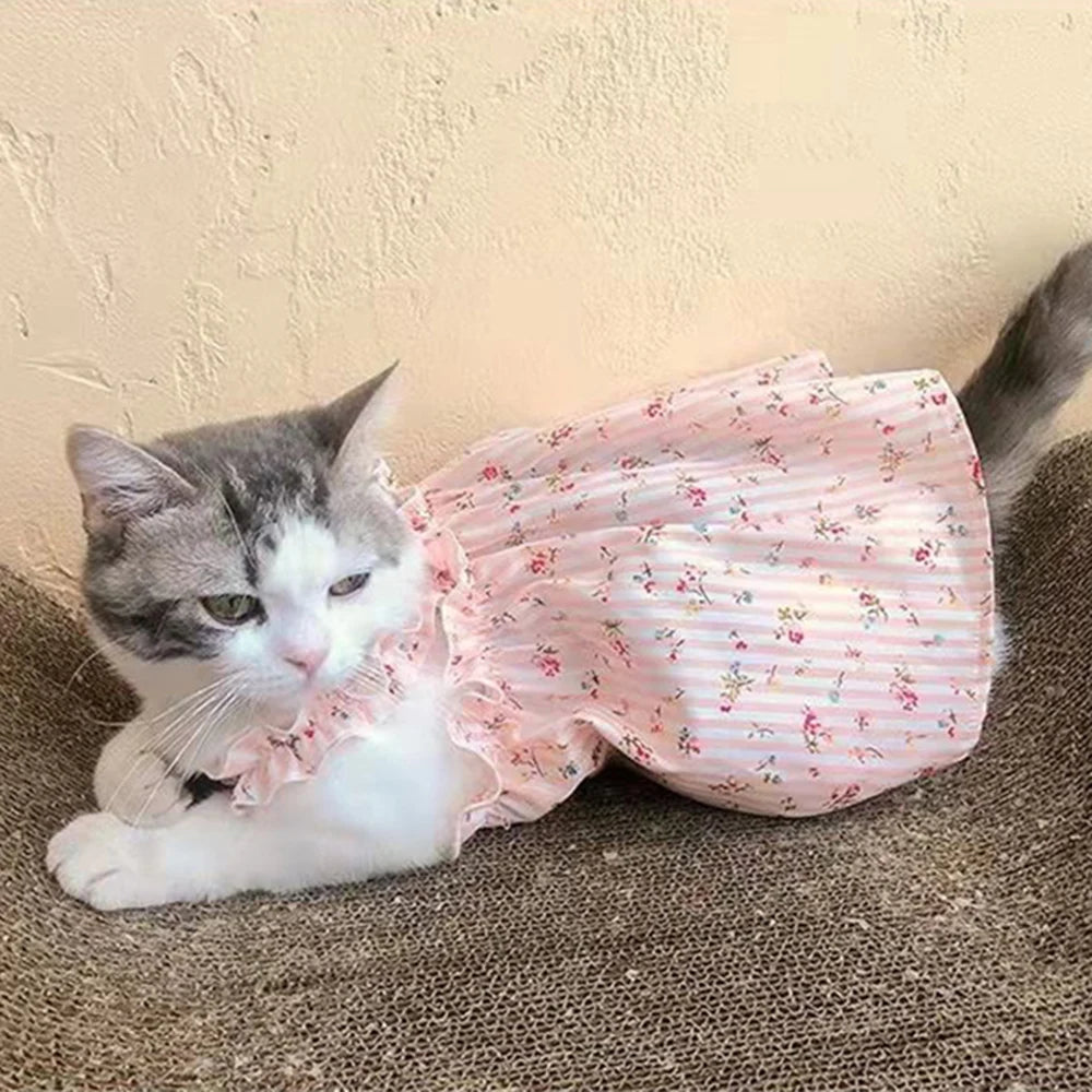 BlossomPaws Summer Dress