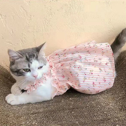 BlossomPaws Summer Dress