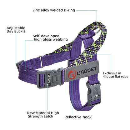 Stridezilla Harness