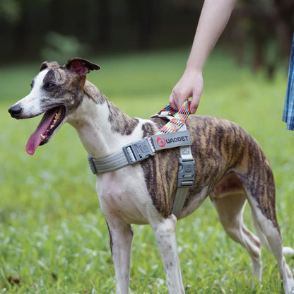 Stridezilla Harness
