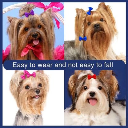 Bark’n Bows