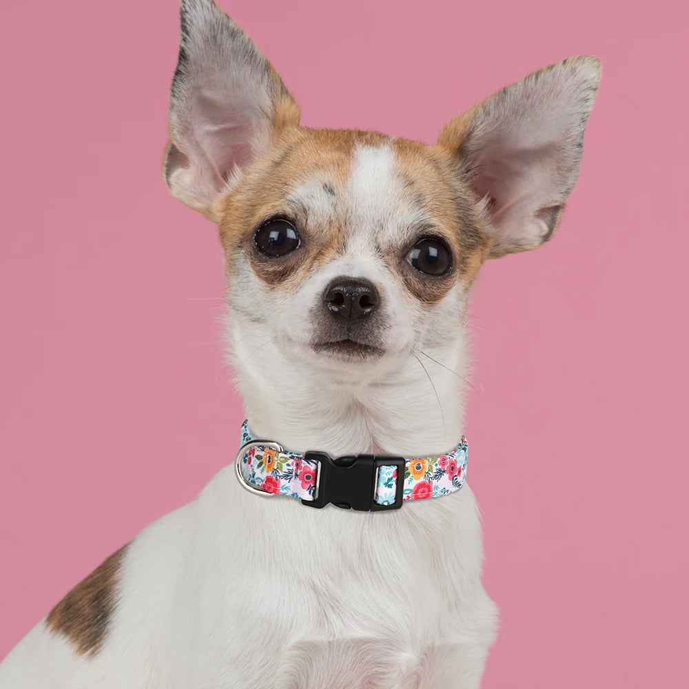 FloraFetch Collar