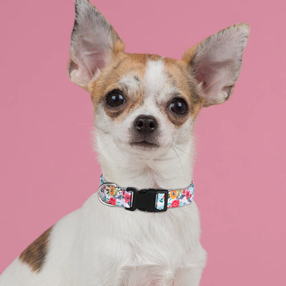 FloraFetch Collar