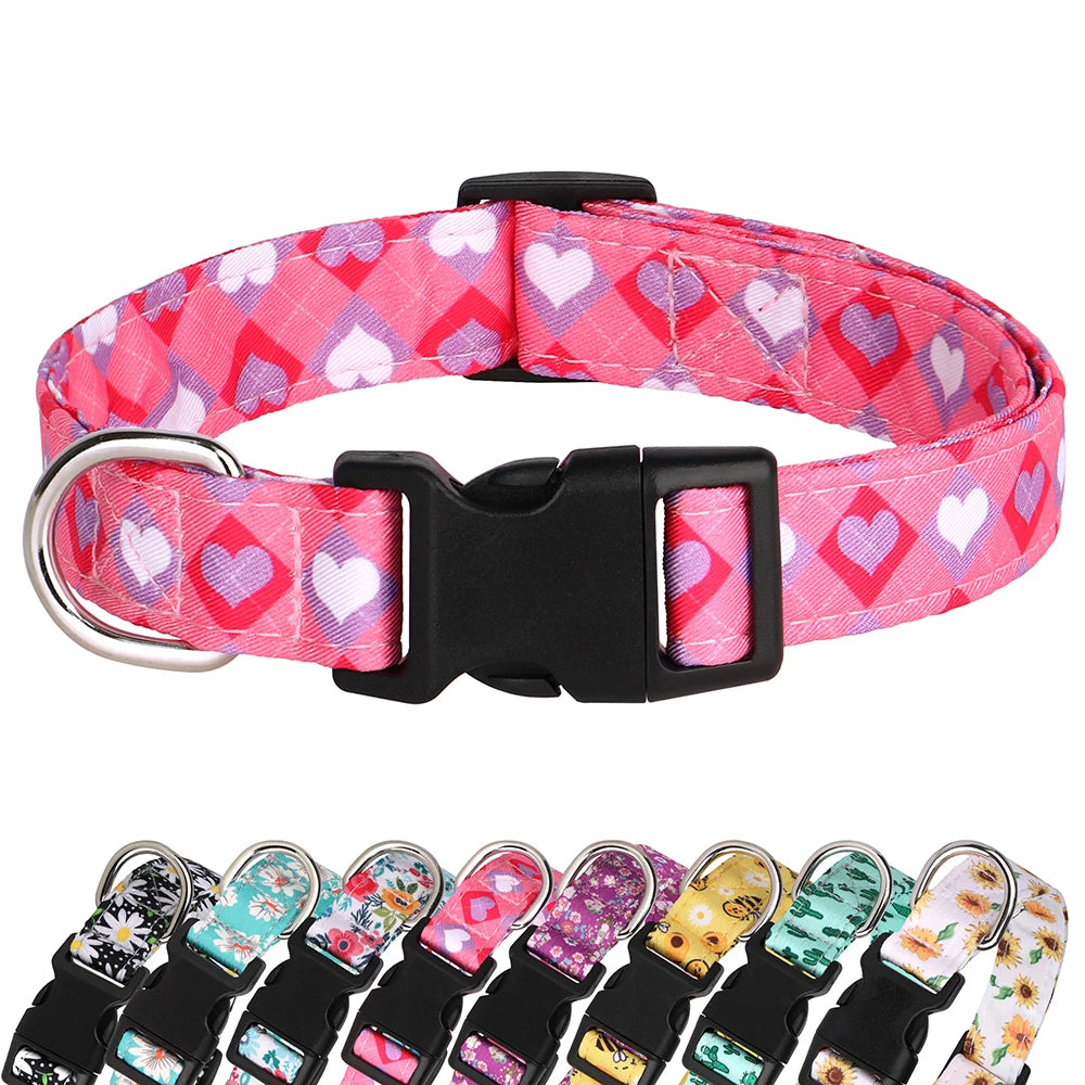 FloraFetch Collar