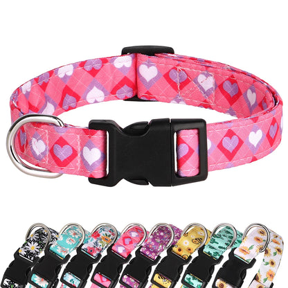 FloraFetch Collar
