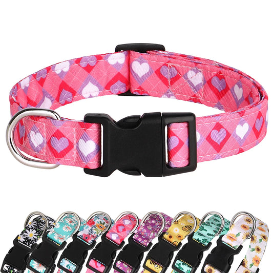 FloraFetch Collar