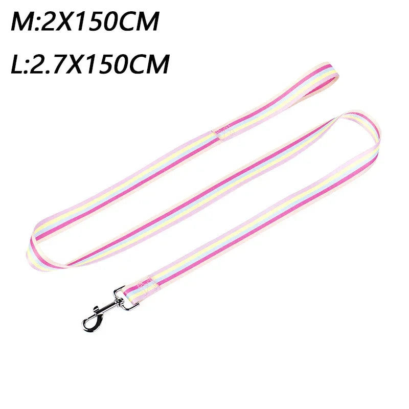 PrideStride Leash & Collar Set