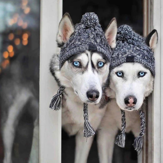 SnuggleNoggin Winter Dog Hat
