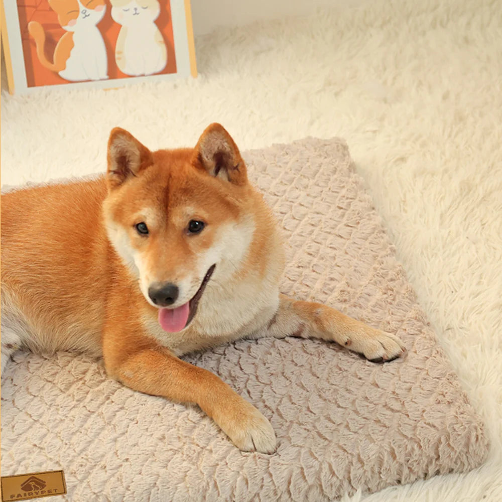 CloudNest Orthopedic Pet Bed