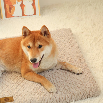 CloudNest Orthopedic Pet Bed
