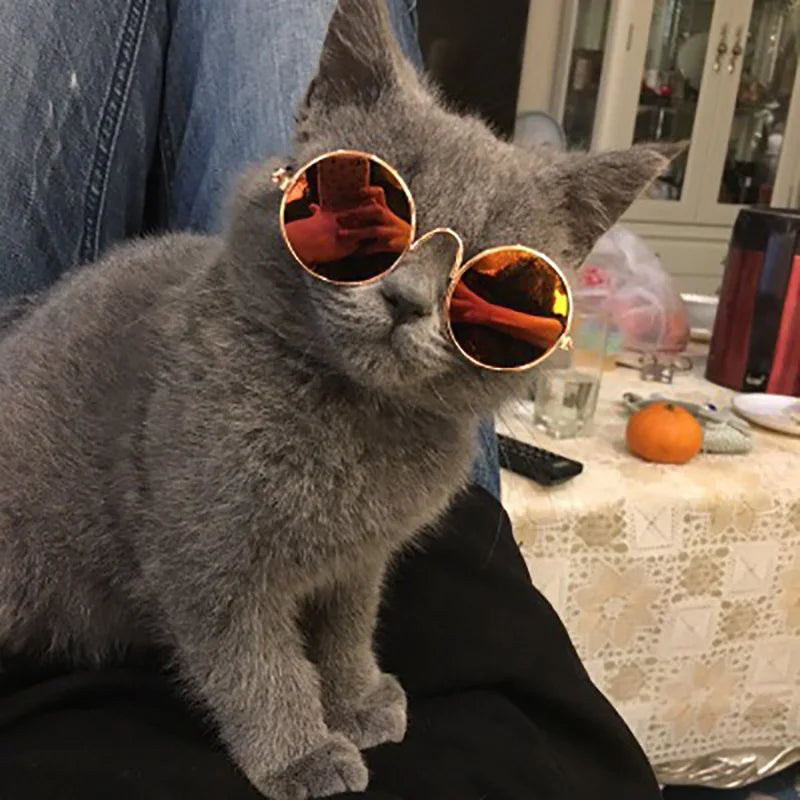 Pawlaroids Dog Sunglasses