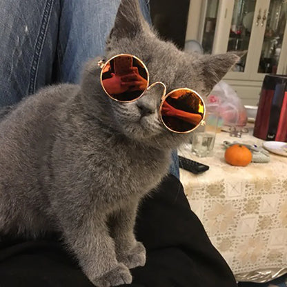 Pawlaroids Dog Sunglasses