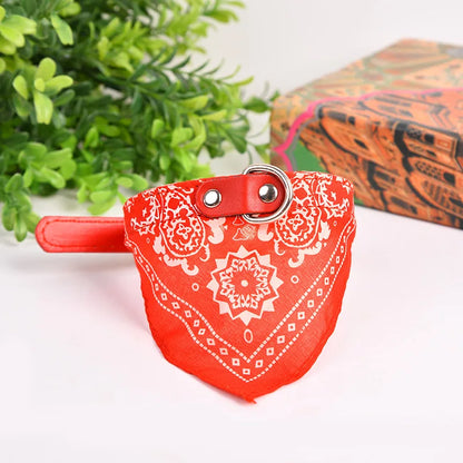 Wag & Whisker Scarf Collar