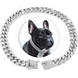 Bark & Bling™ Cuban Luxe Collar