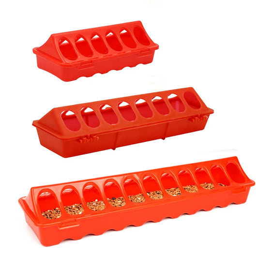 Peck & Feast Poultry Feeder