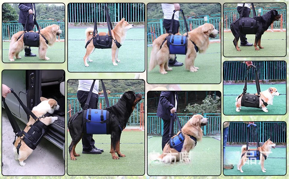 PawLift Support Sling