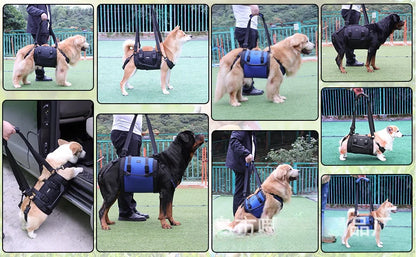 PawLift Support Sling