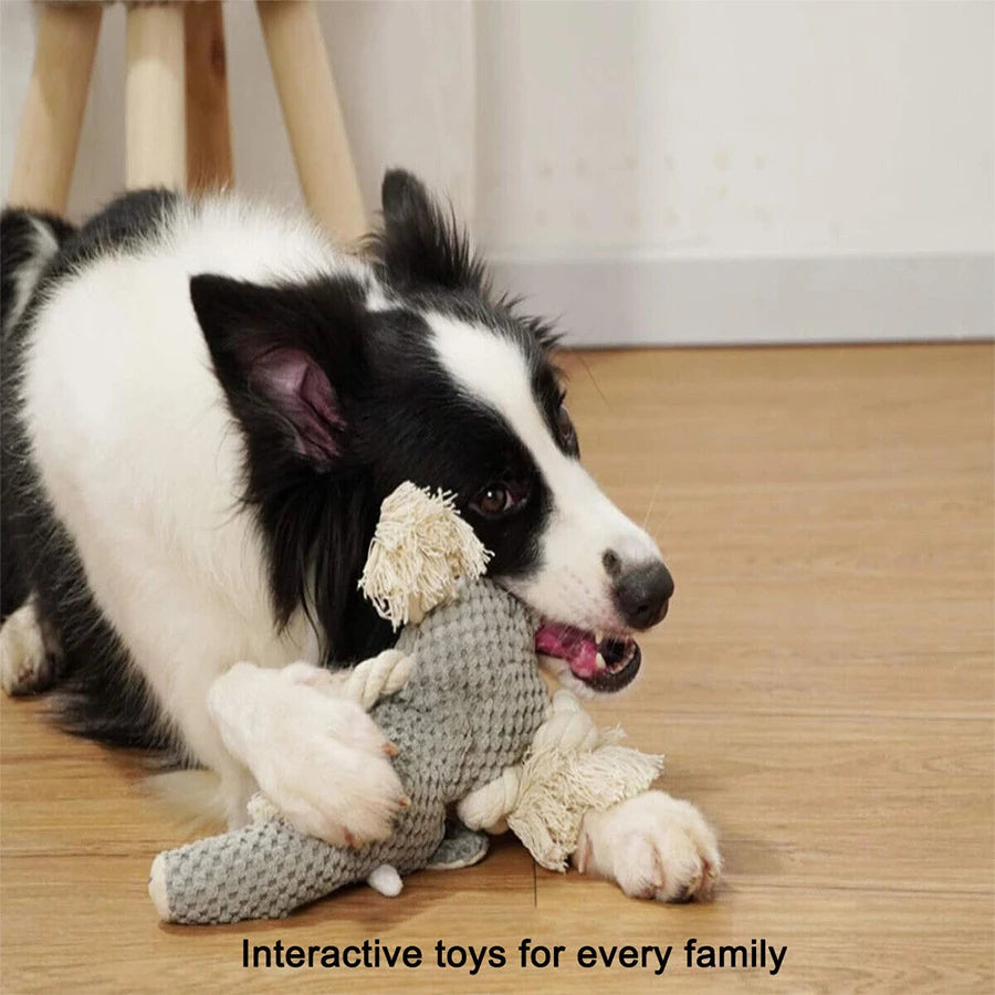 Wild Barks Buddies