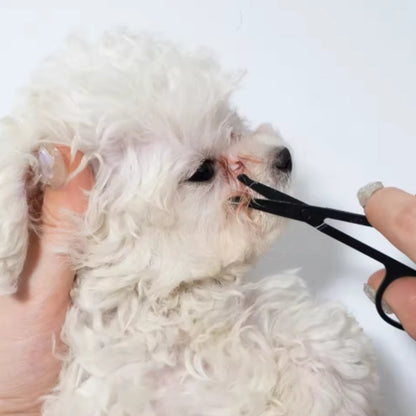 BrightEyes Buddy Comb and/or Scissors