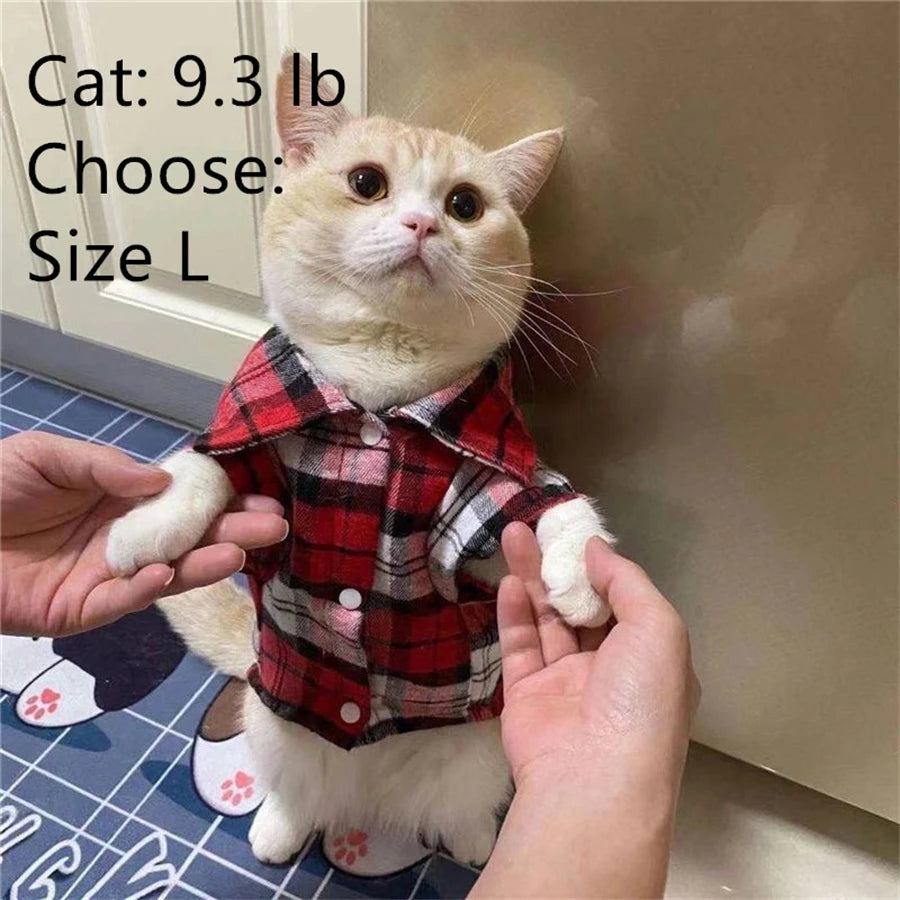 Pawsh Plaid Coat