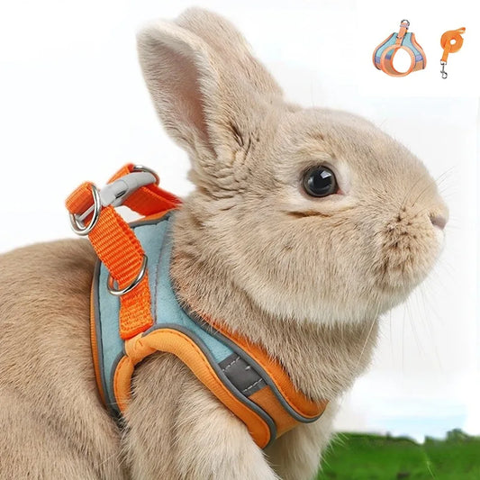 BunnyTrek Adventure Harness Set