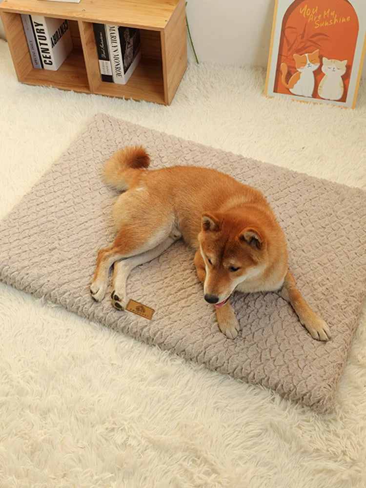 CloudNest Orthopedic Pet Bed