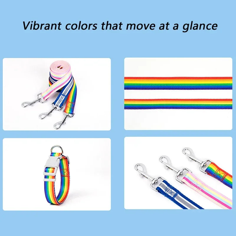 PrideStride Leash & Collar Set