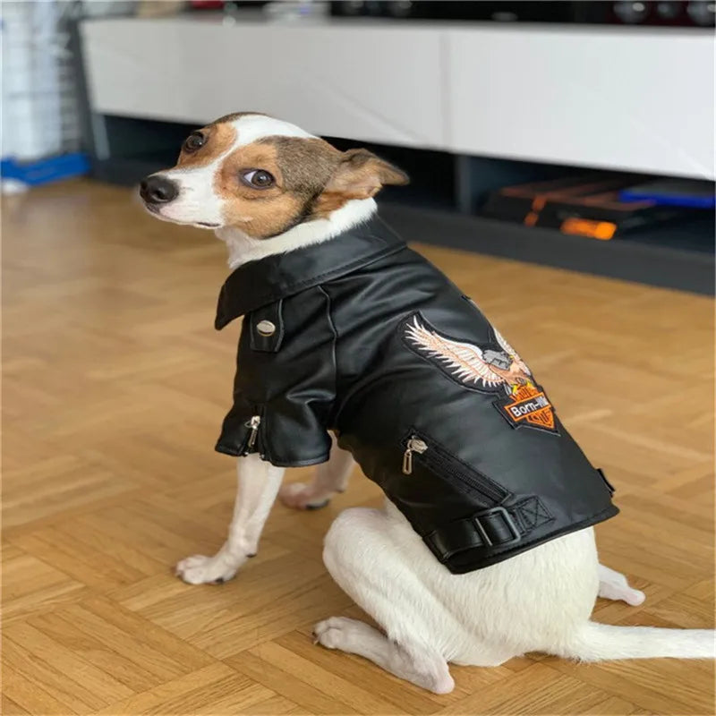 RebelTail Eagle Rider Jacket