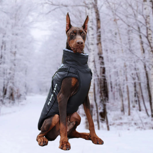 StormPaw Luxe Coat
