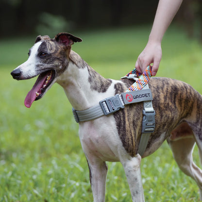 Stridezilla Harness