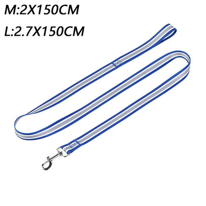 PrideStride Leash & Collar Set