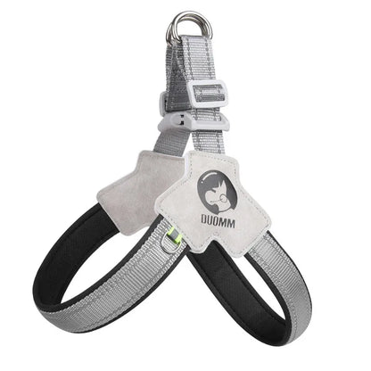 PawVoyage Mesh Harness