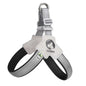 PawVoyage Mesh Harness