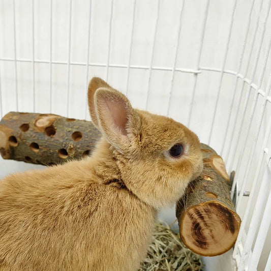 TwiggyTreat Stick
