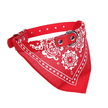 Wag & Whisker Scarf Collar