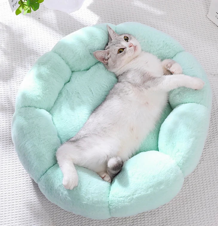 BloomNap Flower Pet Bed
