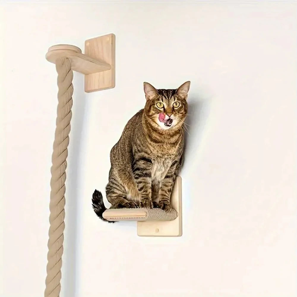 Climb & Scratch Skyway