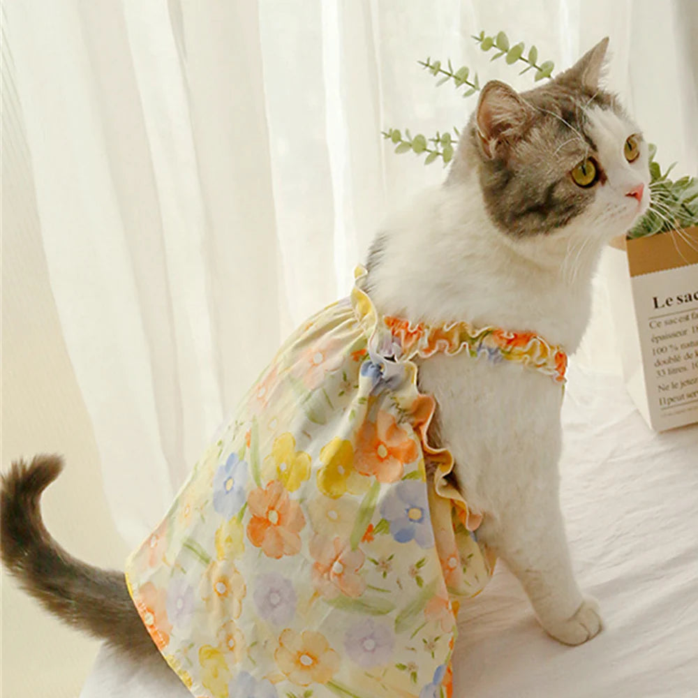 BlossomPaws Summer Dress