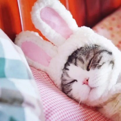 BunnyWhiskers Cozy Cat Hat