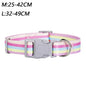 PrideStride Leash & Collar Set