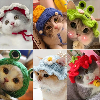 Meowdorable Knit Cosplay Hat