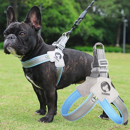 PawVoyage Mesh Harness