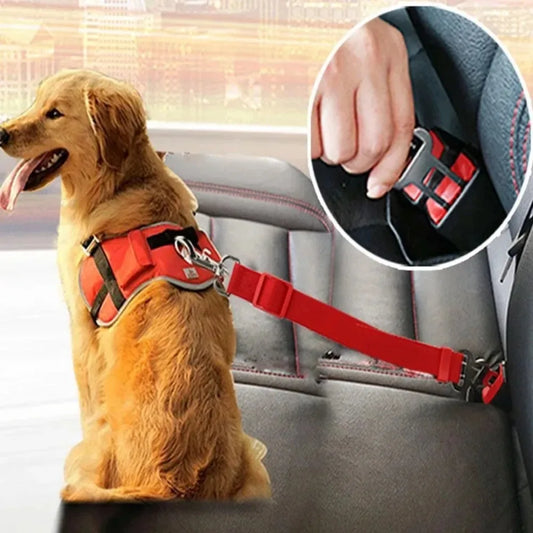 Sit, Stay & Buckle Pet Car Safety Belt