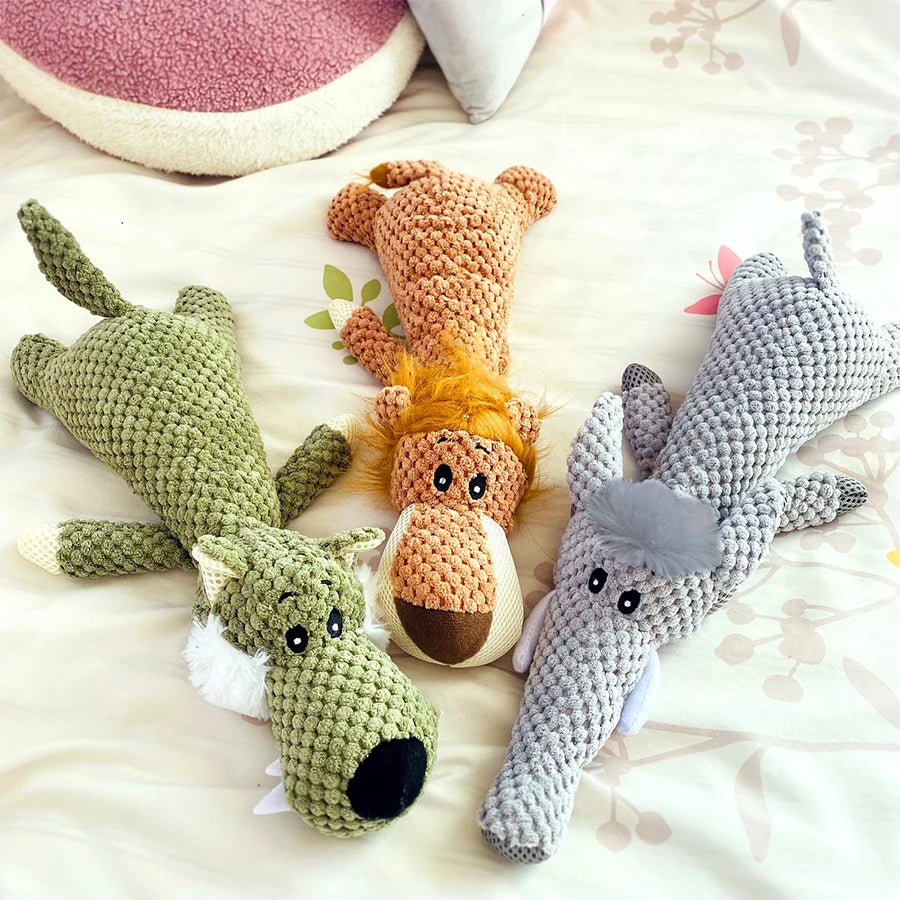 Wild Barks Buddies