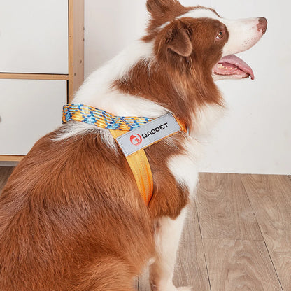 Stridezilla Harness