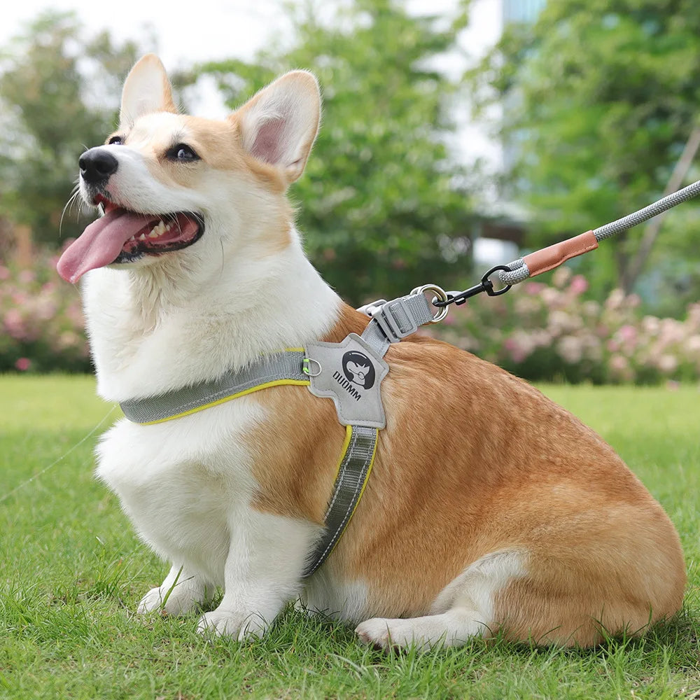 PawVoyage Mesh Harness