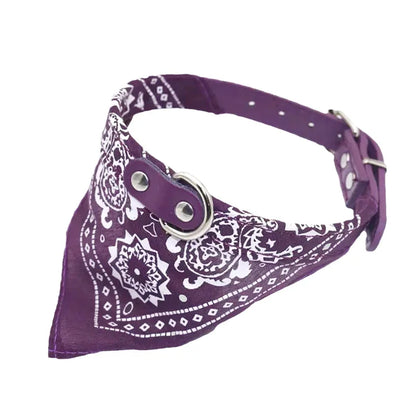 Wag & Whisker Scarf Collar